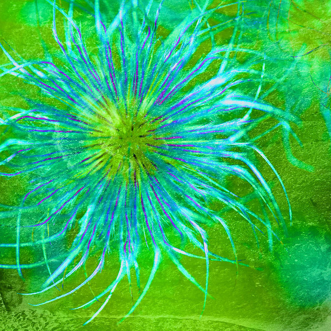 Color Story Green