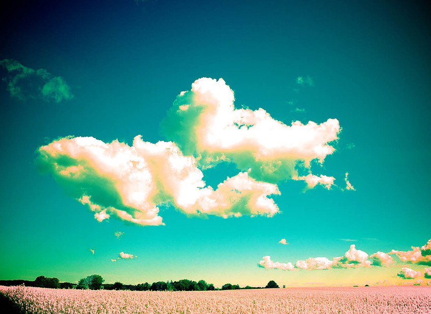 Surreal Field