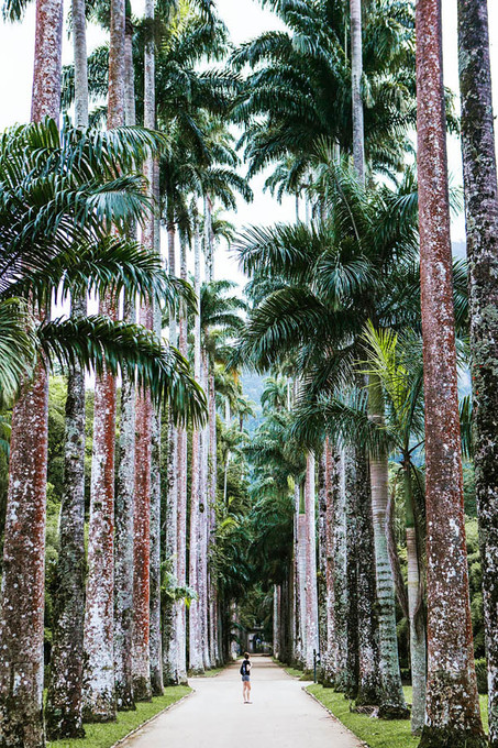 Rio De Janeiro, Brazil