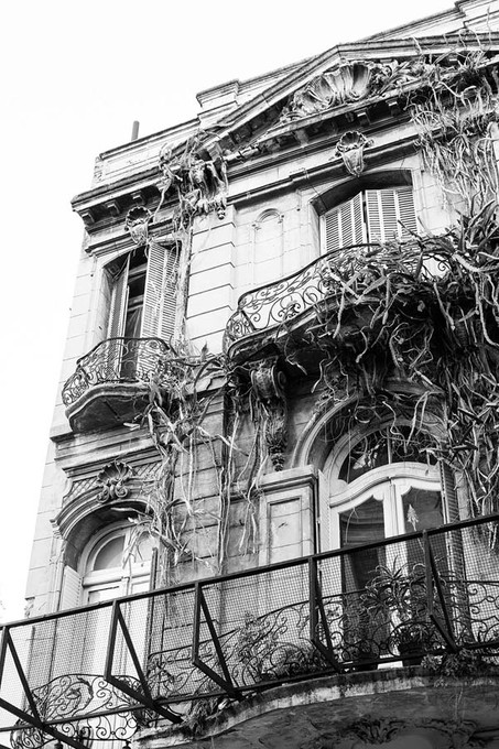 Overgrown