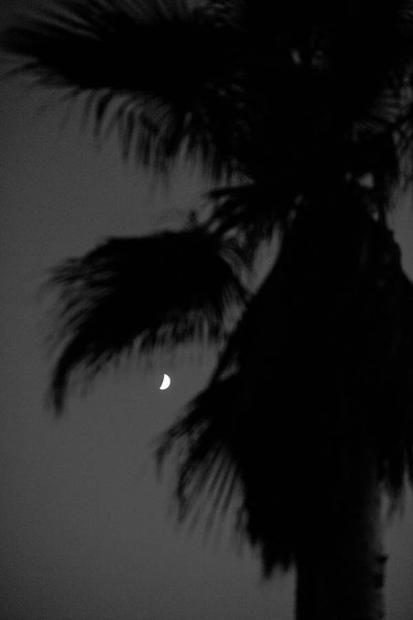 The Moon
