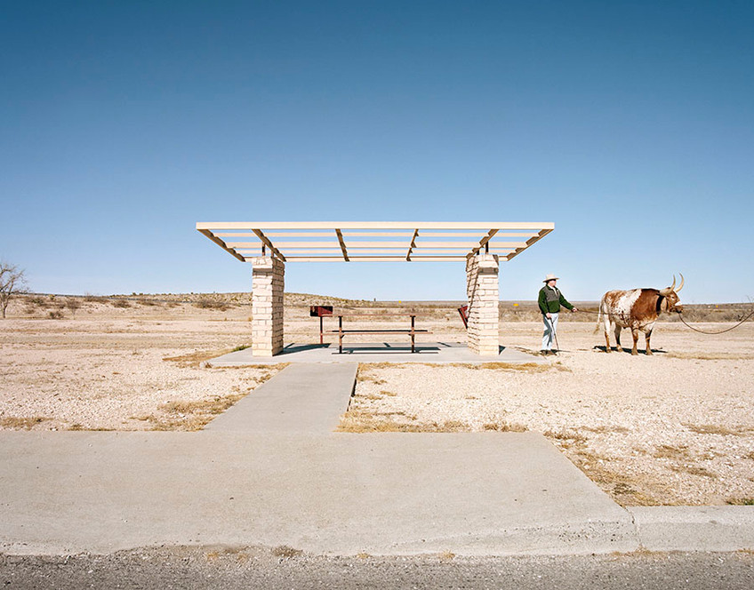 Bevo in Fort Stockton, Texas