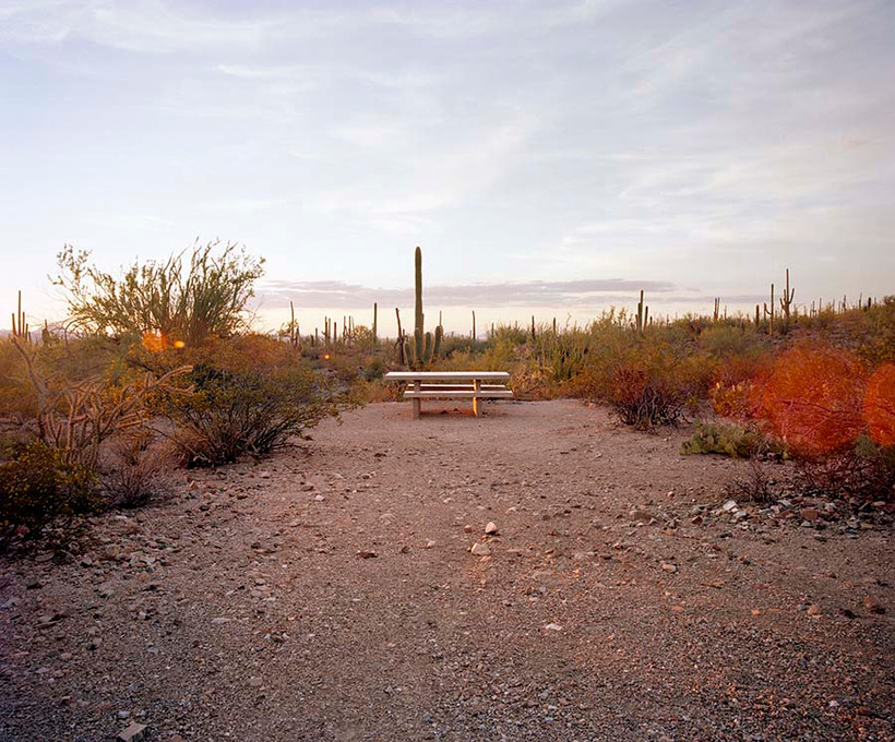 Saguaro National Park, Arizona 1