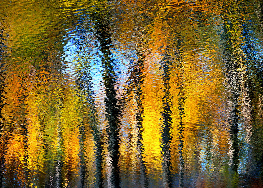 Reflection I