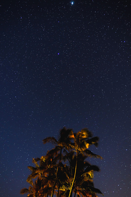Stars in Paradise