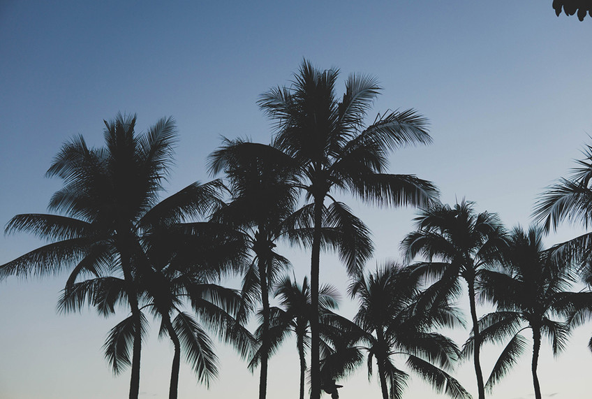 Beach Twilight