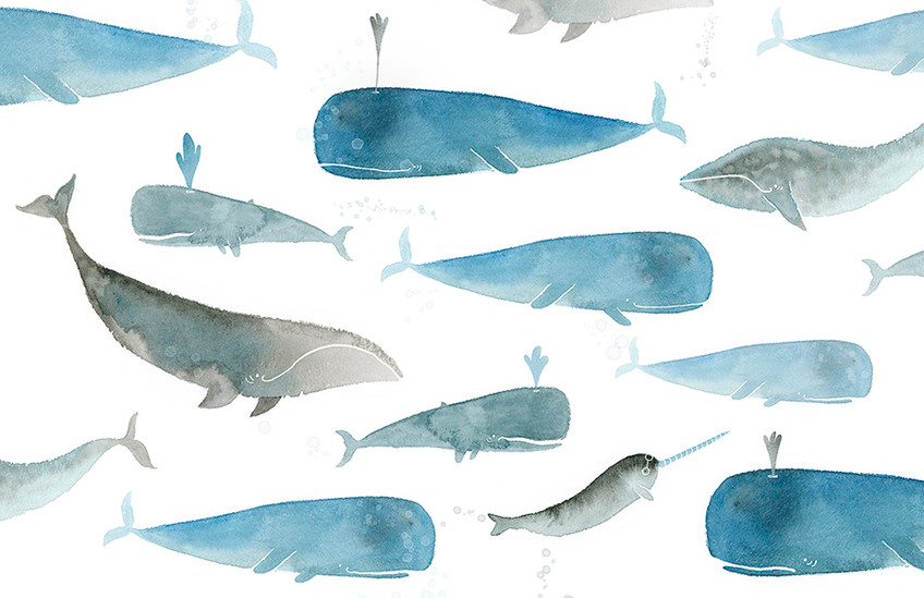 Whale Whale