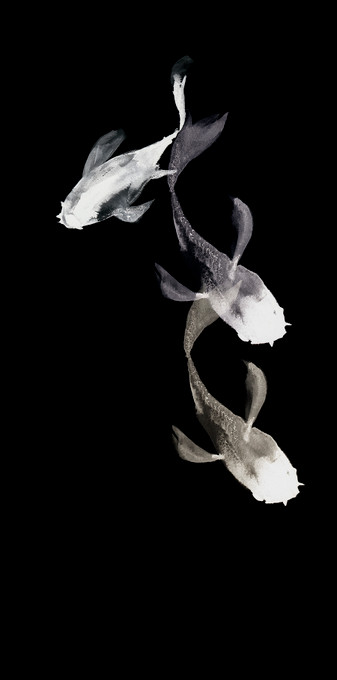 Swim II
