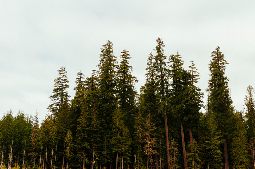 Reaching for the Sky