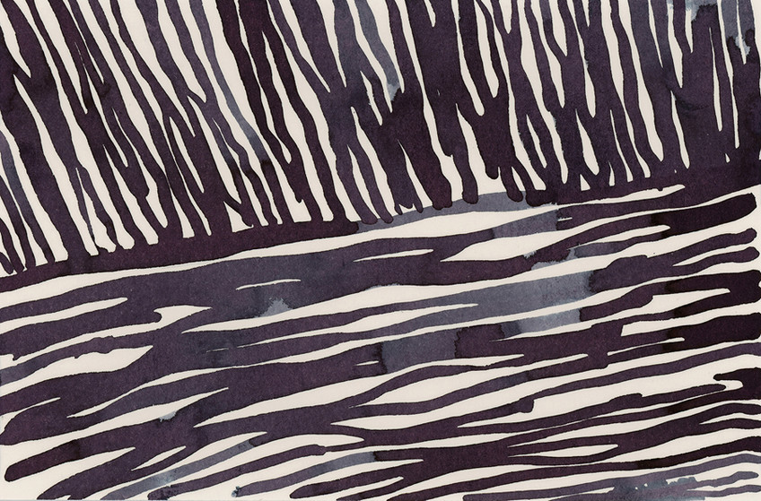 Night Fields 1