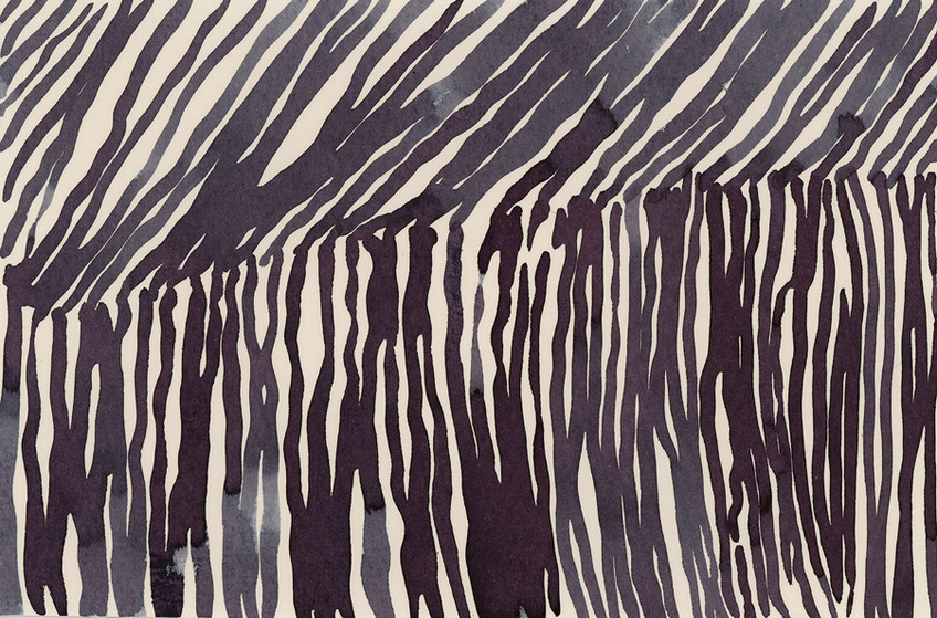Night Fields 3