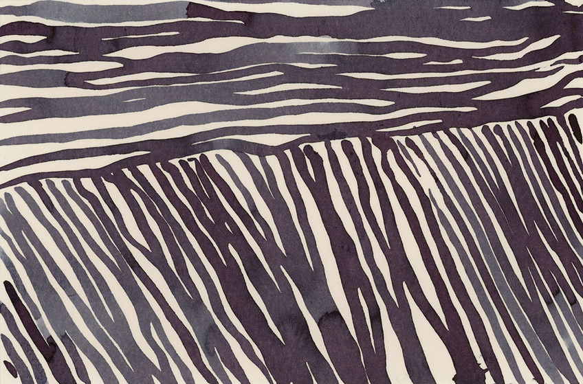 Night Fields 5