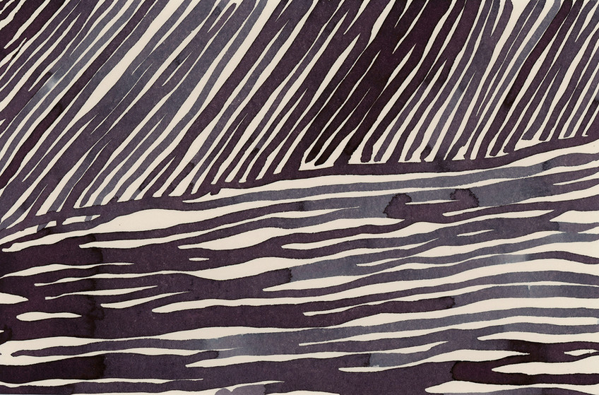 Night Fields 8
