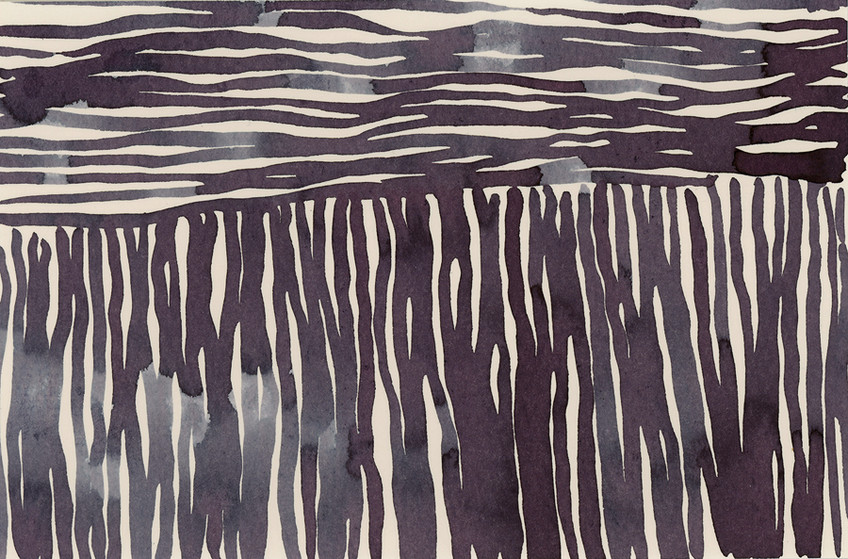 Night Fields 11