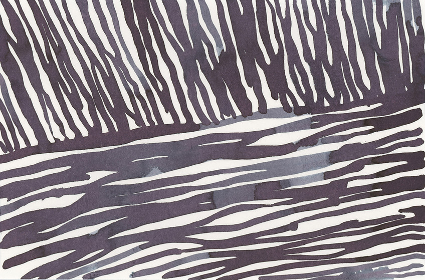 Night Fields 12