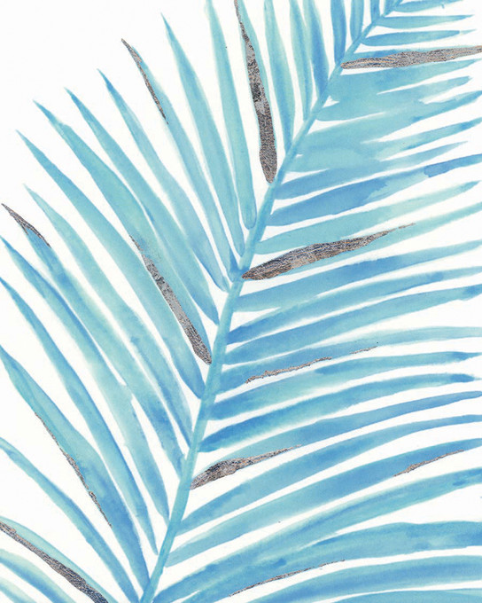 Blue Fan