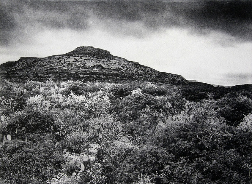 Hill Top