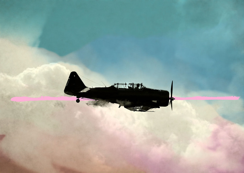 Fighter Pilot Fighter Pilot