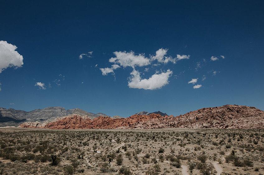 Desert Horizon