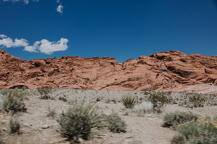 Desert Drive