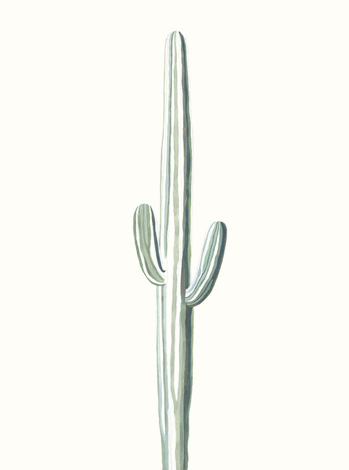 Tallboy