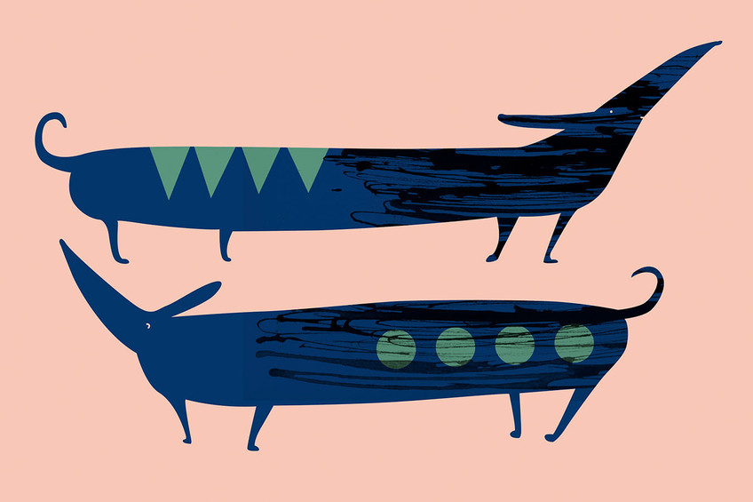 Dachshunds