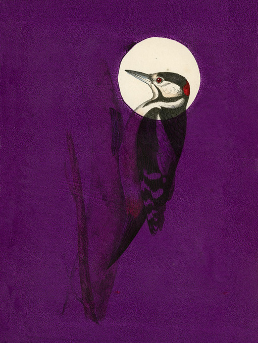 Antique Bird Plum