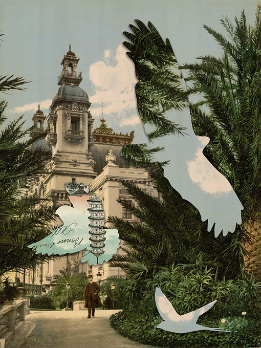 Bird 2