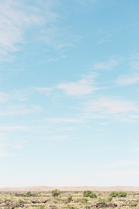 Desert Plains