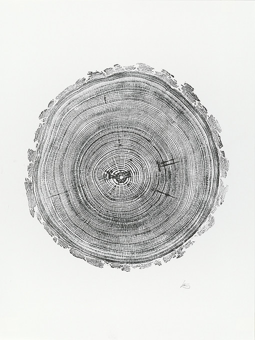 Colorado Pine