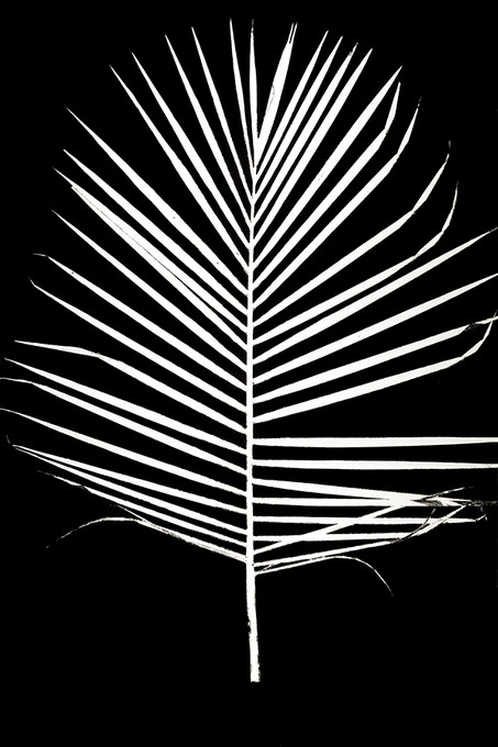 Single Palm Frond