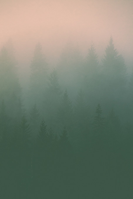 Layers