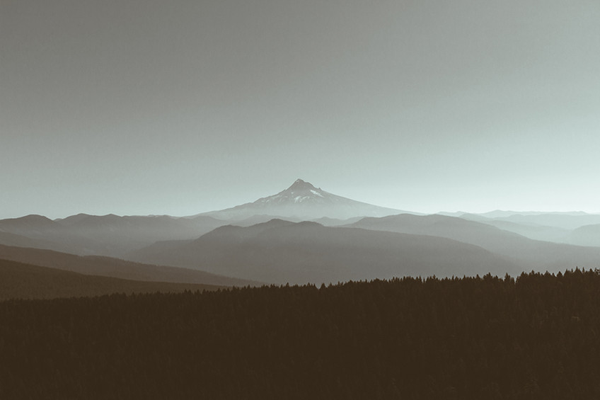Sherrard Point