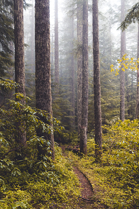 Tumala Mountain