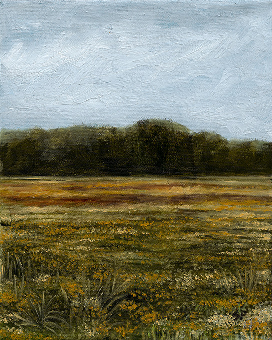 Yellow Flower Field