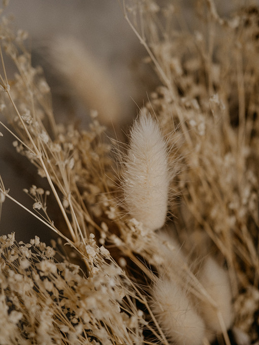 In a Field