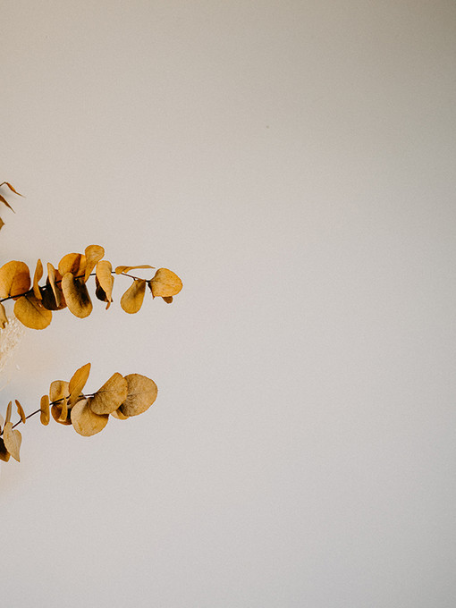 Two Branches