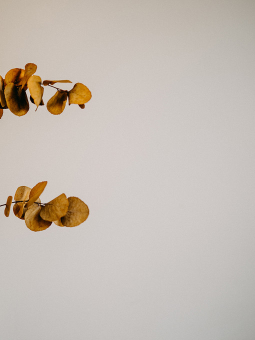 Two Branches 2