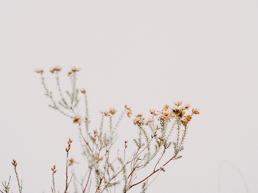 In The Details I