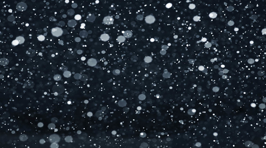 Winter's Bone