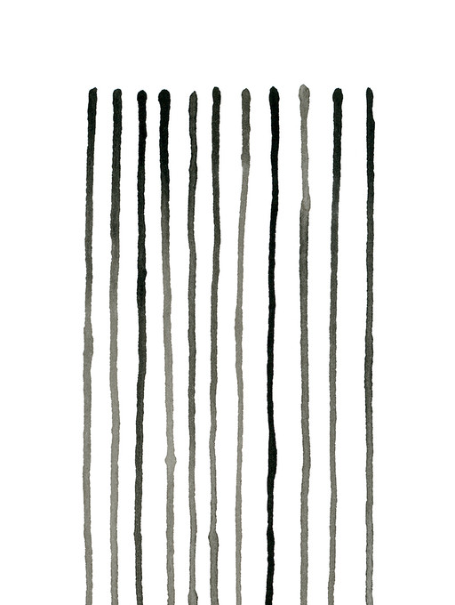 Flag Stripes