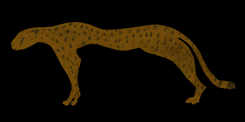 Cheetah Gold