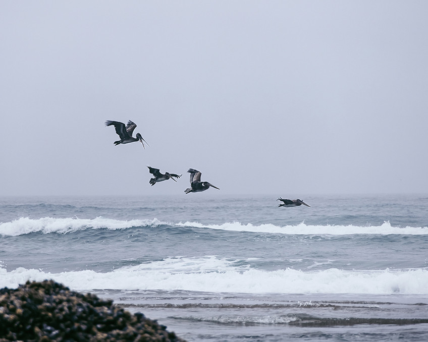 The Phases of Flight