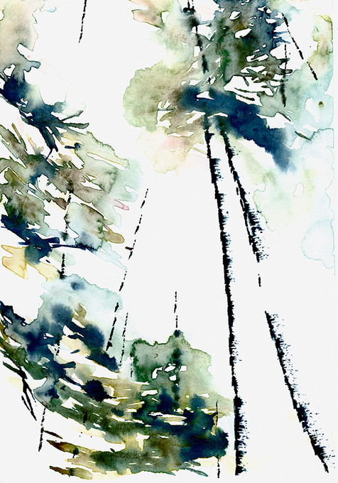 Rise III