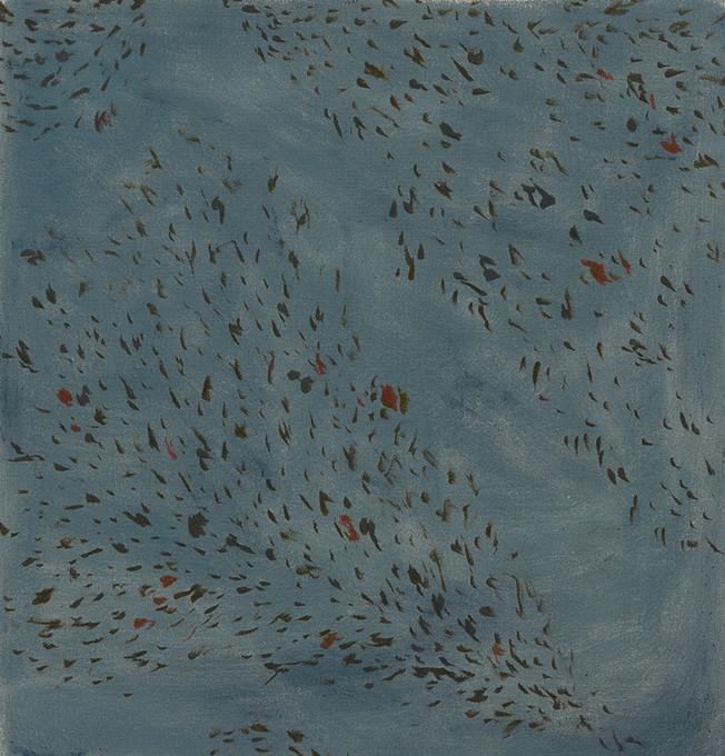 Starlings at Dusk