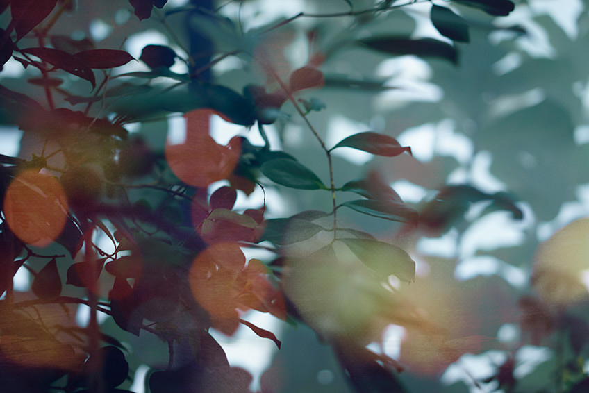 Bokeh II