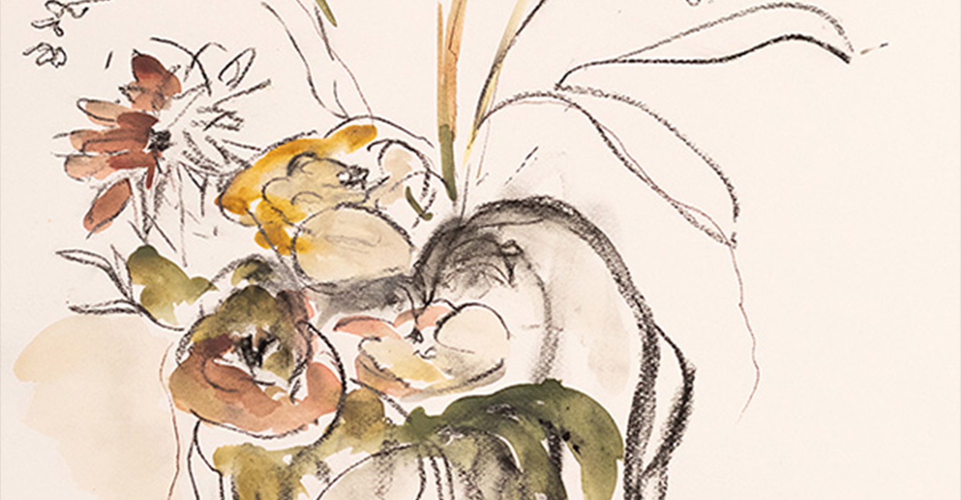 drawings-1920x1000.jpg