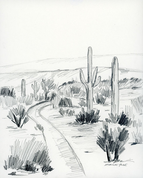 Pencil Drawing Cactus - Wonderwall Studio