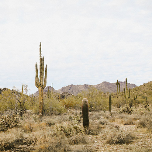 High Desert Wonderwall Studio