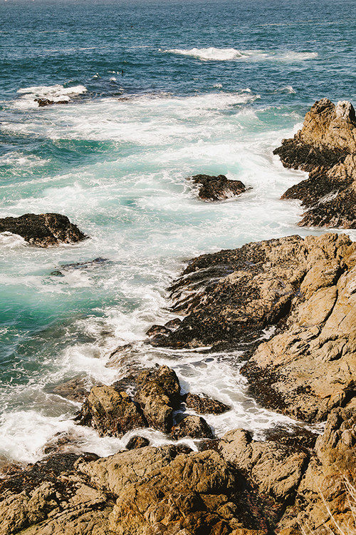 Salt Air/Carmel, California Wonderwall Studio